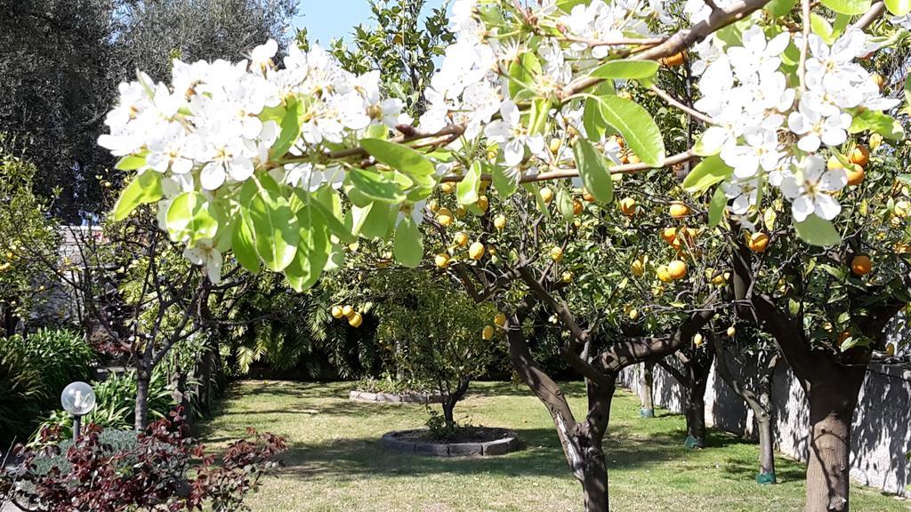Villa Kalimera Сорренто Екстер'єр фото