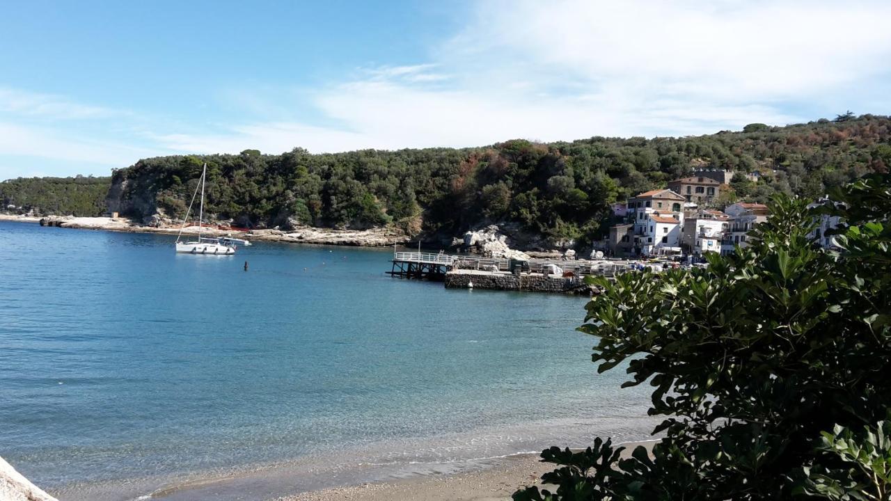 Villa Kalimera Сорренто Екстер'єр фото