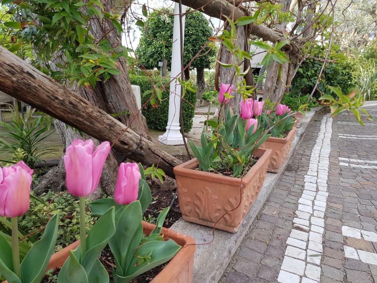 Villa Kalimera Сорренто Екстер'єр фото
